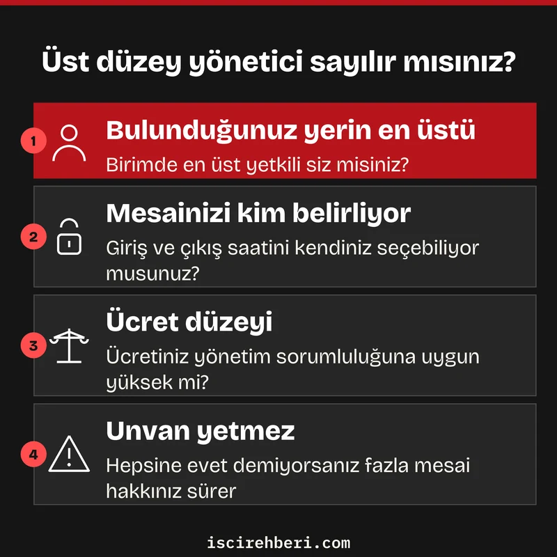 Üst düzey yönetici sayılır mısınız?